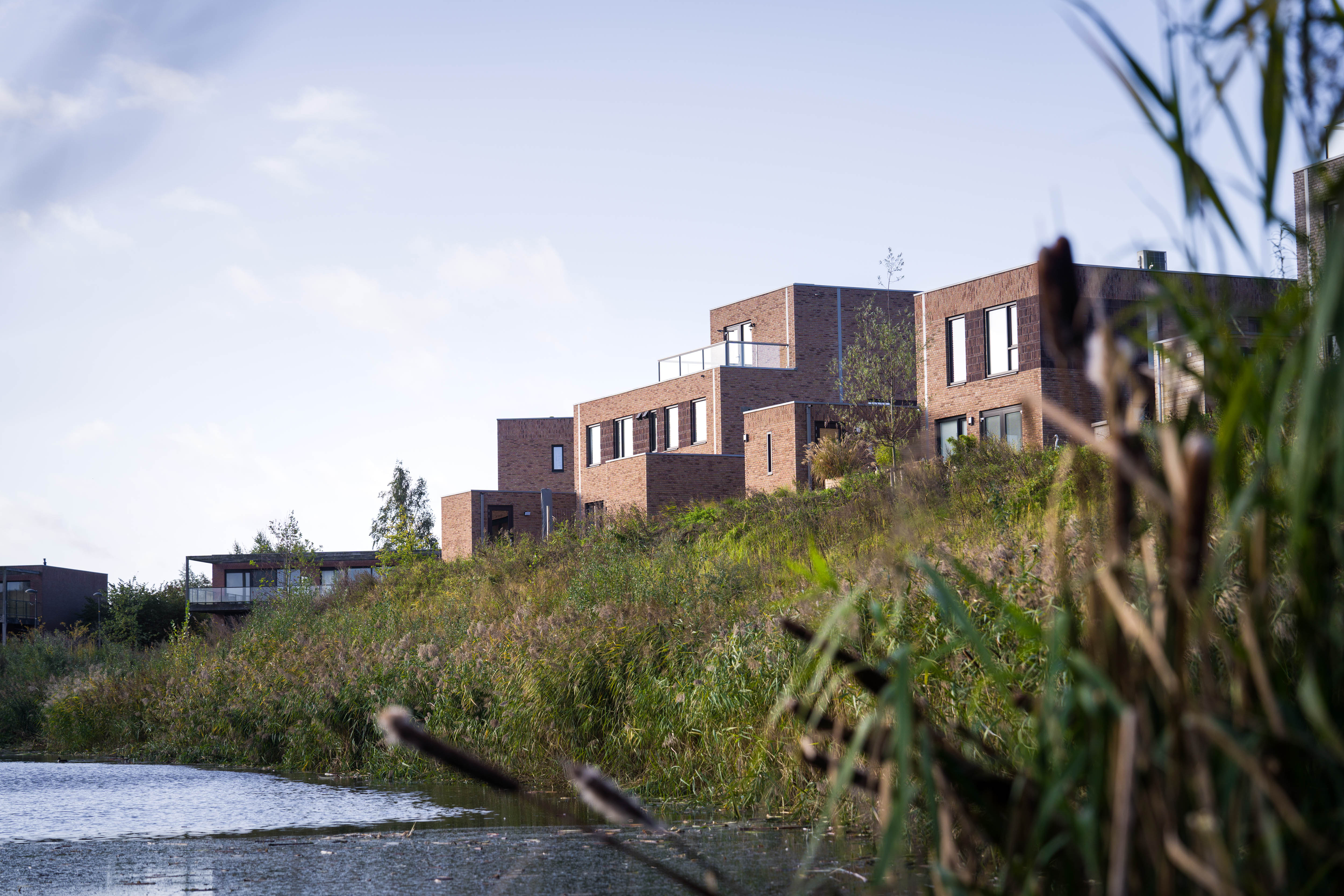241007 Lelystad Duin en Water HQ 04